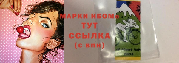 твердый Краснослободск