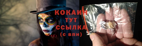 твердый Краснослободск