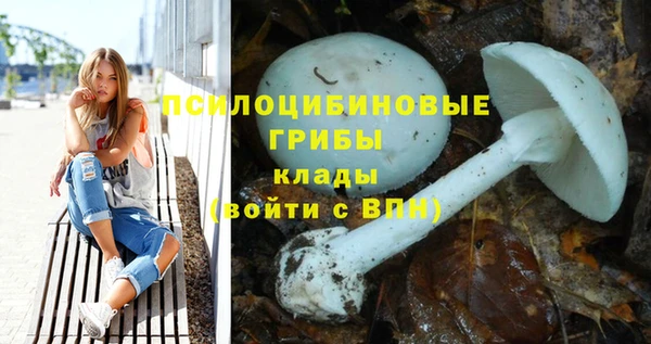 твердый Краснослободск