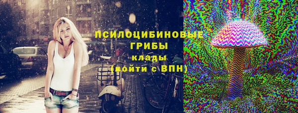 твердый Краснослободск