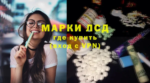 твердый Краснослободск
