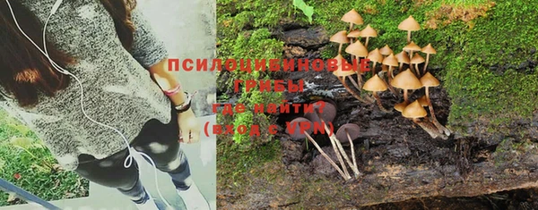твердый Краснослободск