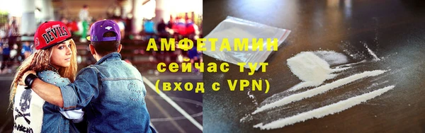 твердый Краснослободск