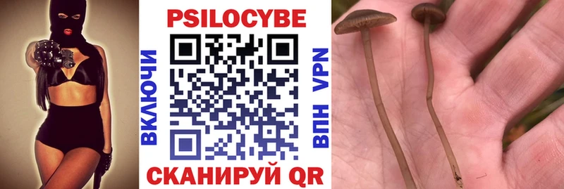 Псилоцибиновые грибы MAGIC MUSHROOMS  Юрюзань 